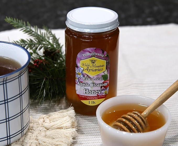 Pennsylvania Apple Blossom Honey by Welsh Mountain Apiaries Raw and Unfiltered 16 Ounce Jar (Pack of 3)