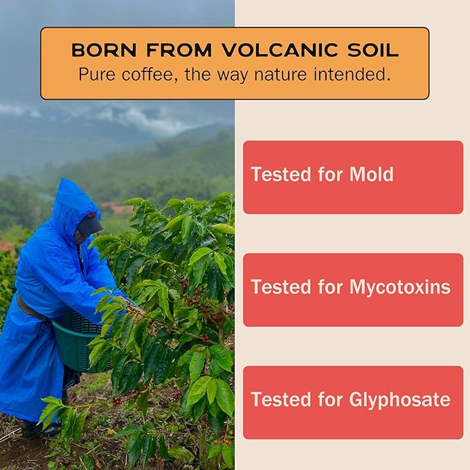 Terra Lava Coffee – Dark Roast Whole Bean Coffee Single-Origin Costa Rican Arabica Volcanic Soil Grown Honey-Processed Tested for Mold &amp Mycotoxins 12 oz