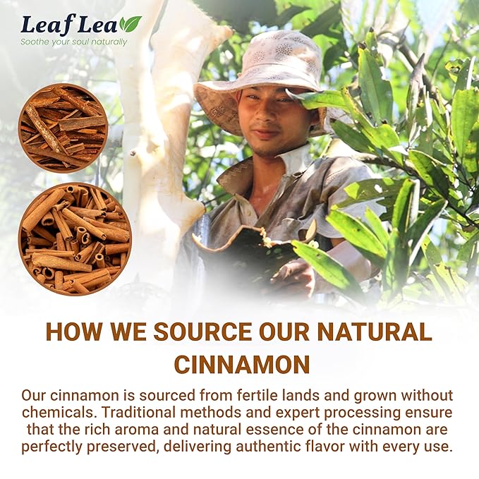 LeafLea Cinnamon Tea Bags 80 Count (2-Pack) 100% Natural Ground Cinnamon Stick Herbal Tea Spiced and Warming Flavor for Relaxation Caffeine-Free Sugar-Free Vegan