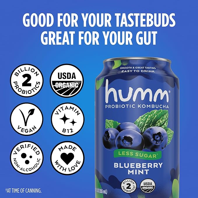 Humm Kombucha Blueberry Mint Organic Vegan &amp GMO Free (24 Pack)