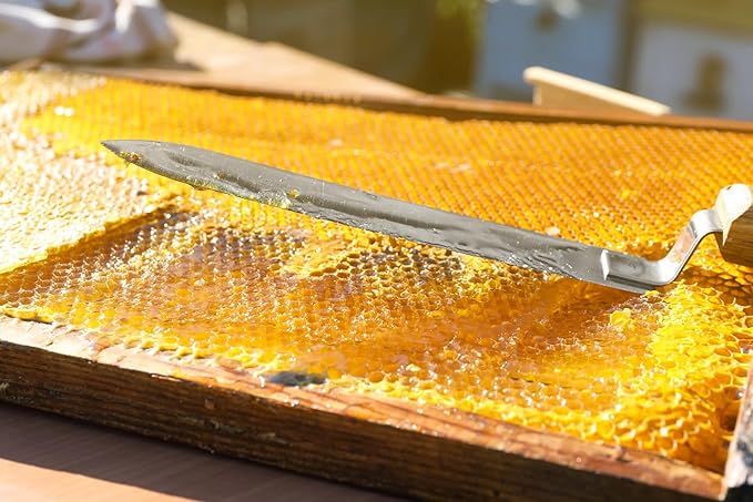 Joe’s Reserve Raw Honeycomb 3 lb – 100% Unfiltered Unheated Sonoran Desert Arizona Honey – Edible Honey Comb with Raw Honey – Pure Natural Honeycomb