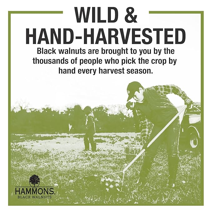 Hammons Fancy Large Black Walnuts -Wild Harvested - Non-GMO - Gluten-Free - High Protein - Keto Snack - Nuts for Cooking and Baking - 24oz