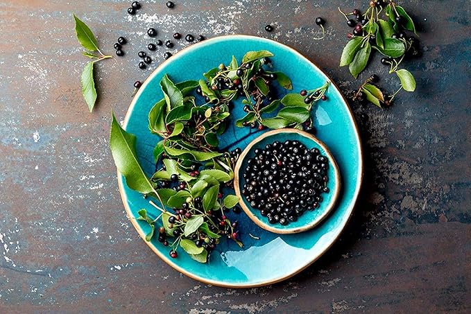 Food to Live Organic Freeze-Dried Maqui Berry Powder 8 Ounces — Non-GMO Raw 100% Pure Vegan Superfood No Added Sugar Bulk Rich in Iron Fiber and Antioxidant Great for Juices Drinks and Smoo