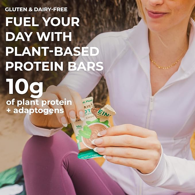 Laird Superfood Functional Protein Bars – Protein Bar but Better with Real Ingredients Functional Mushrooms 10g Plant-Based Protein 6g Fiber - Non-GMO - Mint Chocolate 10 Count (Pack of 1)