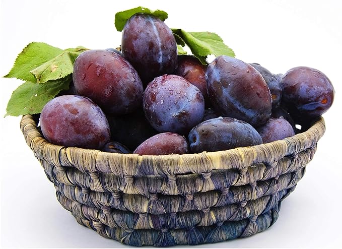Mariani Pitted Prunes | Dried Fruit | Healthy Snacks for Kids &amp Adults | Vegan Snacks | Gluten Free Snacks | No Sugar Added Fat Free Cholesterol Free | 36 Ounces (Pack of 1)