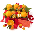 Lunar New Year Fruit &amp Chocolate Gift Box – Fresh Premium Fruit with Artisan Chocolates Chinese New Year Gift Basket for Family Friends &amp Corporate Gifting