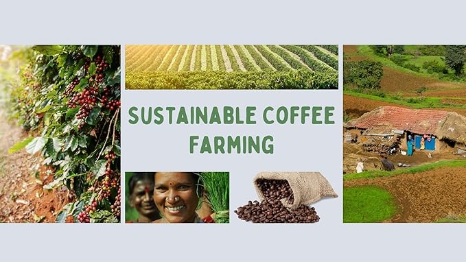Sattva Coffee Terra Low Acid Dark Roast Whole Bean Coffee 100% Arabica Beans with Caramel &amp Chocolate Notes Smooth Bold Flavor 12oz Fresh Roasted