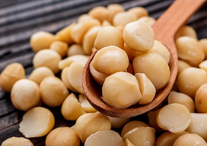Food to Live Dry Roasted Macadamia Nuts with Himalayan Salt 1 Pound – Oven Roasted Whole Nuts Lightly Salted No Oil Added Vegan Snack Keto Kosher Bulk. High in Protein. Great for Baking