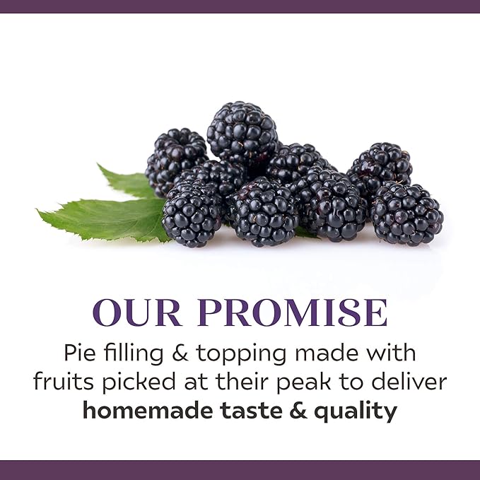 Duncan Hines Wilderness Premium Pie Filling &amp Topping Blackberry 21 Ounce (Pack of 12)