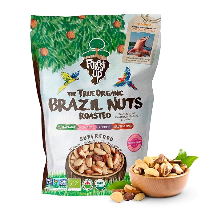 Snack The True Organic Brazil Nuts 32oz-2lbs – Roasted &amp Himalayan Salt – Kosher – Healthy-Rich in Vegetable Protein – From Amazon Rainforest – Fresh Vegan Gluten-Free and Oil Free – Forest Up