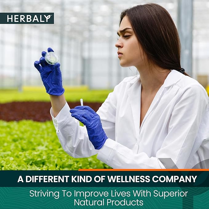 Herbaly Wellness Collection Tea - 8 Active Herbs - Improve General Health Strengthen Immunity - Natural Organic Non-GMO Vegan Sugar Free - 3 Pack 84 Pyramid Tea Bags
