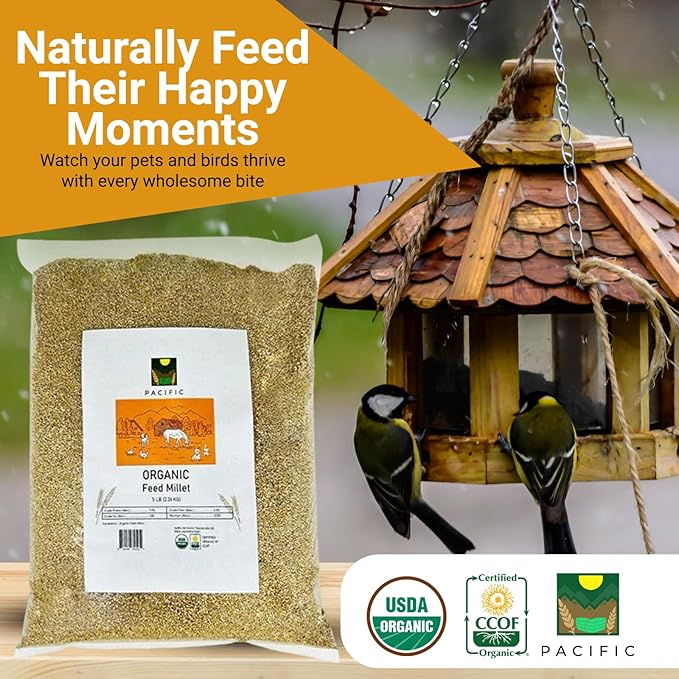 PACIFIC Organic Petfood Organic Feed Millet - Millet Bird Seed | Rich with Fiber &amp Minerals | USDA and CCOF Certified | Packed in USA (5 Pound (Pack of 1))