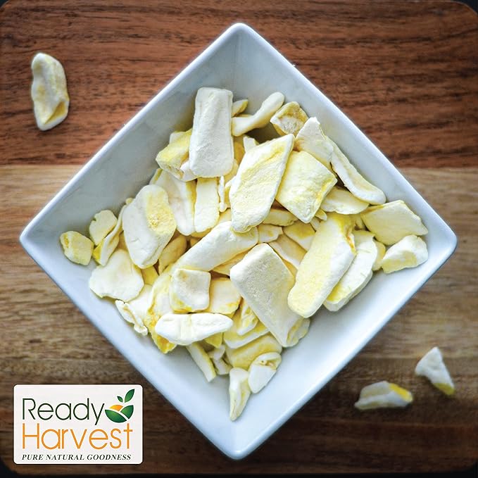 Ready Harvest Freeze Dried Food - Mango | Emergency Snacks | Fruit for Camping &amp Survival | #10 Can | 25-Year Shelf Life | Cans Filled to the Top