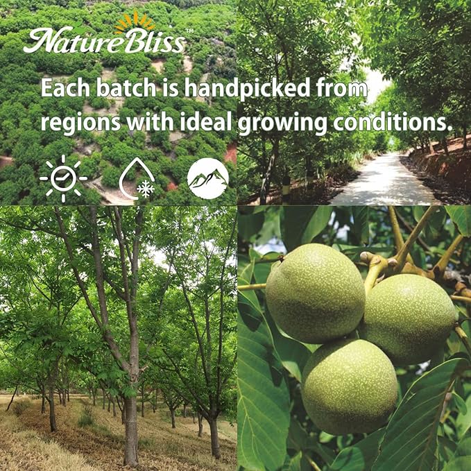 Naturebliss Premium Peeled Walnuts Halves Skinless Raw Walnuts Texture Sweet Crisp No Salt Added Healthy Nuts Power Snacks Ideal for Salads Baking and Cooking (10 OZ/Pack of 1)