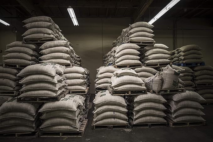Caffe D’arte Campania Whole Bean Coffee – Dark Roast Bold &amp Robust Roasted in Seattle Crafted for Drip Coffee Makers 1 lb