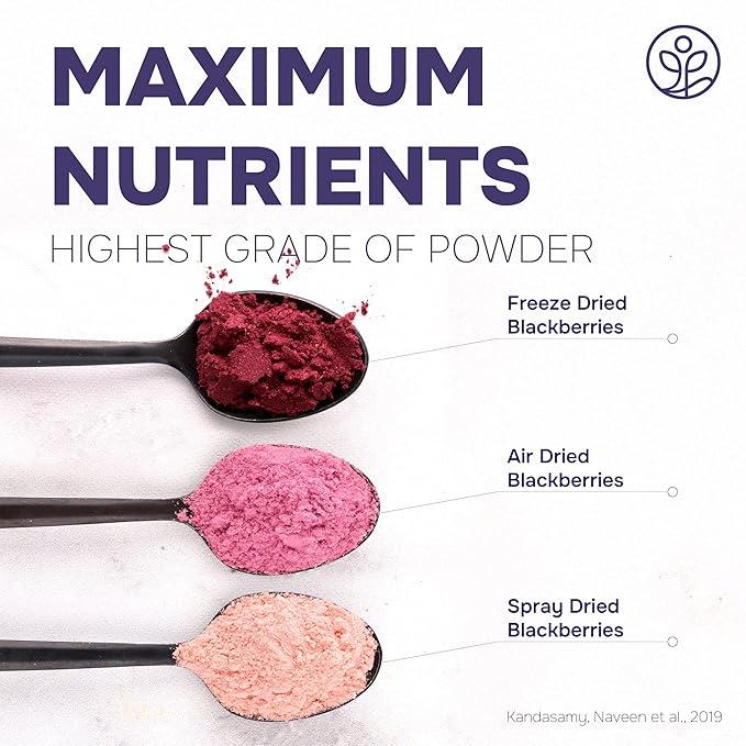 Jungle Powders Organic Blackberry Powder 5 Ounce Bag USDA Certified Freeze Dried Blackberries Powder for Baking Whole Blackberry Juice Additive Free Blackberry Extract Flavoring Puree Concentrate