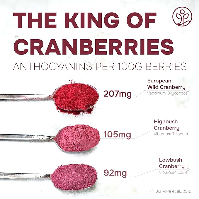 Jungle Powders Wild Cranberry Powder Organic 5 Ounces USDA Certified Freeze Dried Organic Cranberries Powder for Baking Flavoring Smoothies Additive Filler Free Superfood Extract from Whole Berries