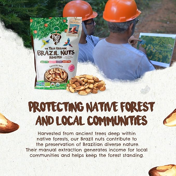 Snack The True Organic Brazil Nuts 32oz-2lbs – Roasted &amp Himalayan Salt – Kosher – Healthy-Rich in Vegetable Protein – From Amazon Rainforest – Fresh Vegan Gluten-Free and Oil Free – Forest Up