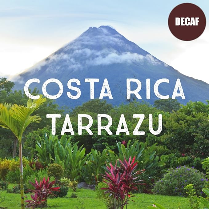 Costa Rica Decaf Tarrazu Coffee Whole Bean Swiss Water Processed Rainforest Certified Fresh Roasted Kosher 16-ounce