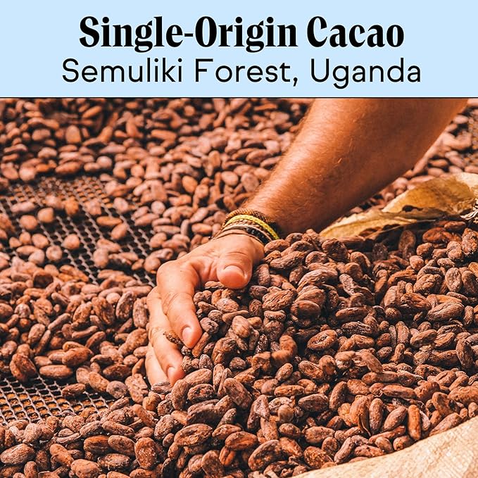 Raaka Coconut Milk 60% Dark Chocolate | Gourmet Plant-Based Dark Chocolate | Organic Vegan Dairy Free Transparent Trade Soy Free Gluten Free Kosher | 1.8oz Bars 12-Pack