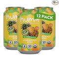 Humm Whole30 Approved Kombucha Pineapple Kiwi Organic Vegan &amp GMO Free (12 Pack)