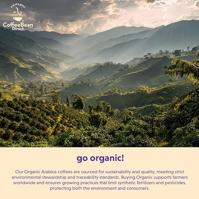 Coffee Bean Direct Organic Fair Trade Ethiopian Yirgacheffe Whole Bean Coffee Light Roast 1 Pound Bag (Pack of 1)