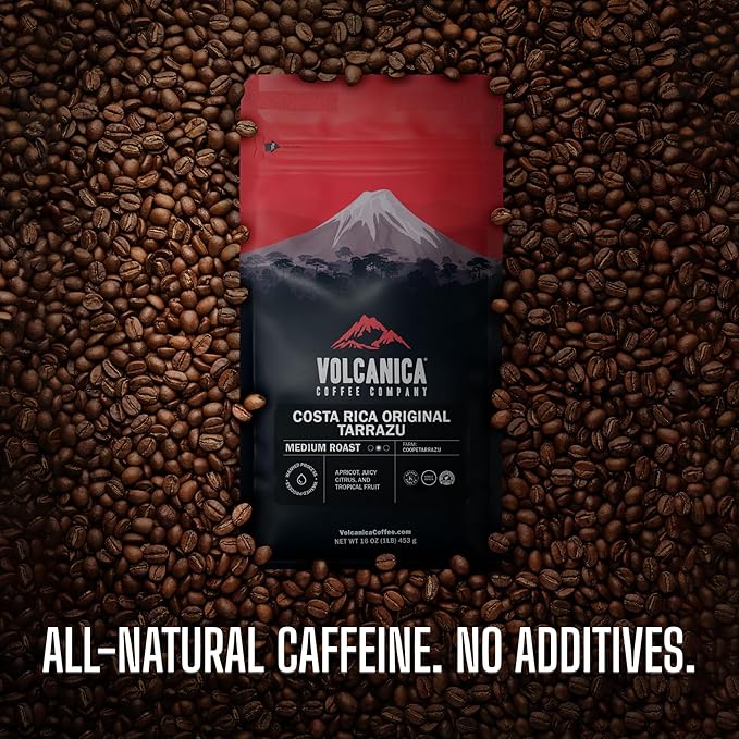 Ethiopian Coffee Yirgacheffe Region USDA Organic Ground Kosher Fresh Roasted 16-ounce