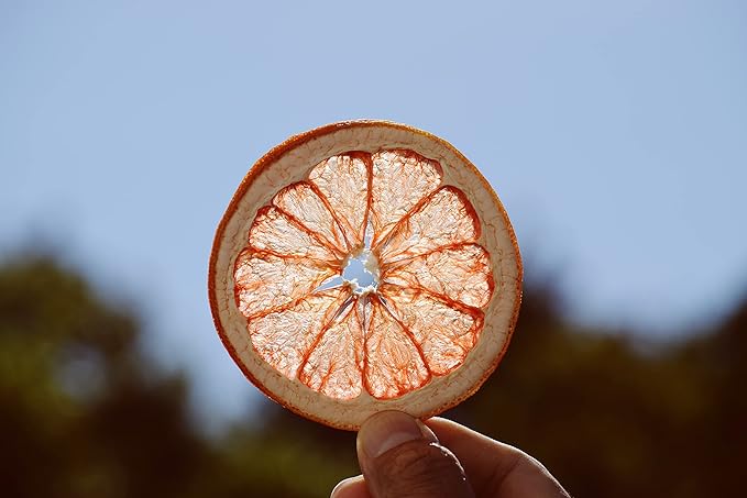 Dehydrated Grapefruit Slices Citrus Immune Booster to infuse water cocktails garnishSelf Care Wedding/Fall/Holiday Decor - 40 slices
