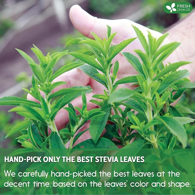 FreshDrinkUS Premium 500+ Natural Stevia Leaves Whole Dried Leaves 100% Pure Stevia Dried Leaves Zero Calorie Sweetener No Additives No Caffeine Vegan