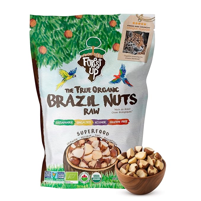 Snack The True Organic Broken Brazil Nuts 32 oz – Raw and Unsalted – Healthy-Rich in Vegetable Protein – Fresh Vegan and Gluten Free – Forest Up