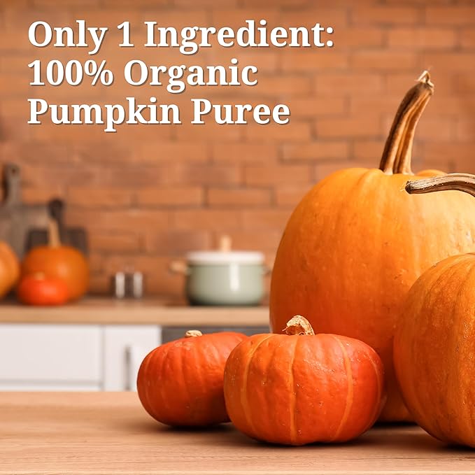Farmer's Market Foods Canned Organic Pumpkin Puree 15 Ounce (Pack of 12)