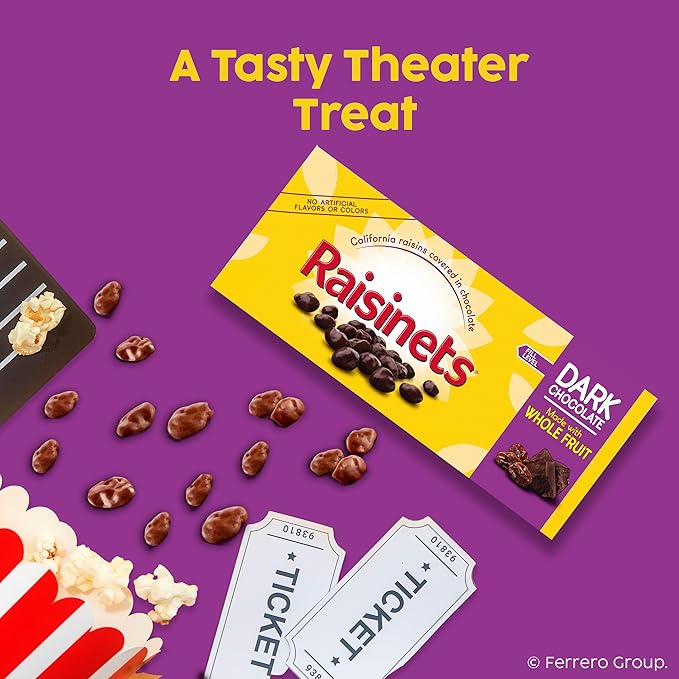 Raisinets Dark Chocolate Covered Raisins Gluten-free California Movie Theater Candy Box 3.1 oz Bulk 15 Pack