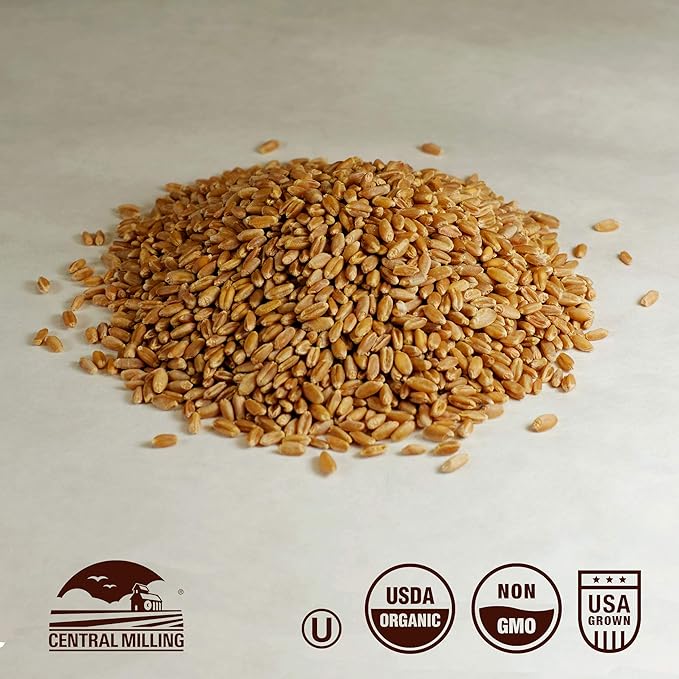 100% Organic Hard Red Spring Wheat Berries- 25 lbs