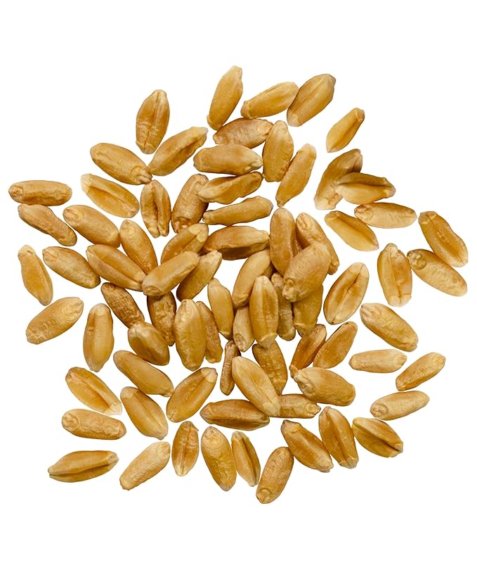 Palouse Brand Certified Glyphosate Residue Free Hard Red Spring Wheat Berries | 25 LBS | Meet the Farmers | 100% Desiccant Free | Sproutable | Non-GMO Project Verified | Kosher | Poly Bag