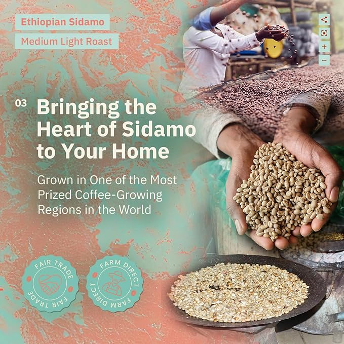 Ethiopian Sidama Coffee Beans - Single Origin Medium Light Roast Beans Freshly Roasted To Order Whole Bean Coffee Specialty Grade Non-GMO
