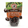 Cherry Republic Sweetly Salted Caramel Dark Chocolate Covered Cherries - 12oz Bag Dried Montmorency Salted Caramel Dark Chocolate Cherries Gourmet Candy Gift or Snack Resealable Made in USA