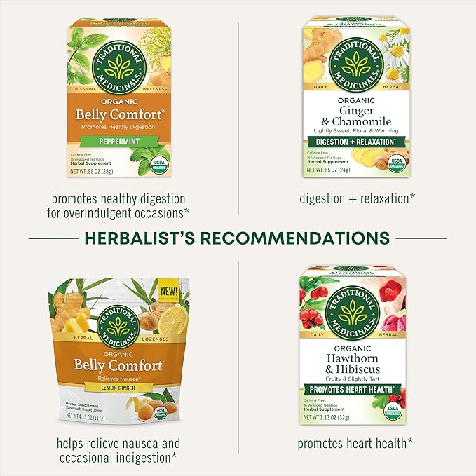 Traditional Medicinals Tea Organic Ginger Aid Promotes Healthy Digestion Kosher Non-GMO Caffeine-Free Compostable - 96 Tea Bags (6 Pack)