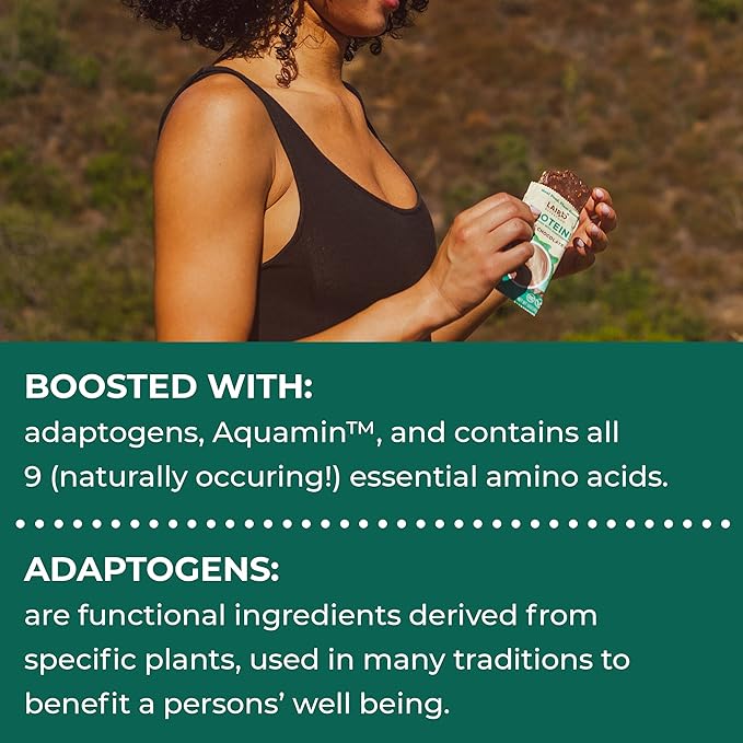 Laird Superfood Functional Protein Bars – Protein Bar but Better with Real Ingredients Functional Mushrooms 10g Plant-Based Protein 6g Fiber - Non-GMO - Mint Chocolate 10 Count (Pack of 1)