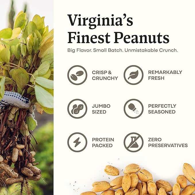 Belmont Peanuts Gourmet Everything Bagel Seasoning Flavored Virginia Peanuts 25 oz (Pack of 1) | Only 9 Simple Ingredients No Preservatives 7g Protein | Salty Peppery Crunchy Hand-Seasoned Snack