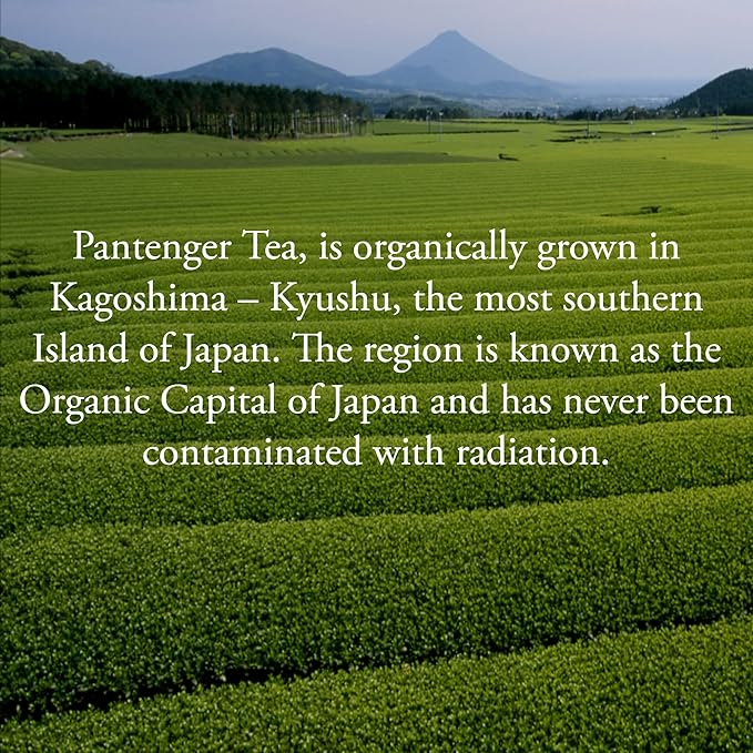 Organic Black Tea | 100 Tea Bags - Fine Japanese Breakfast Tea | Full Leaf Black Tea Organically grown in Japan Caffeinated | By Pantenger.