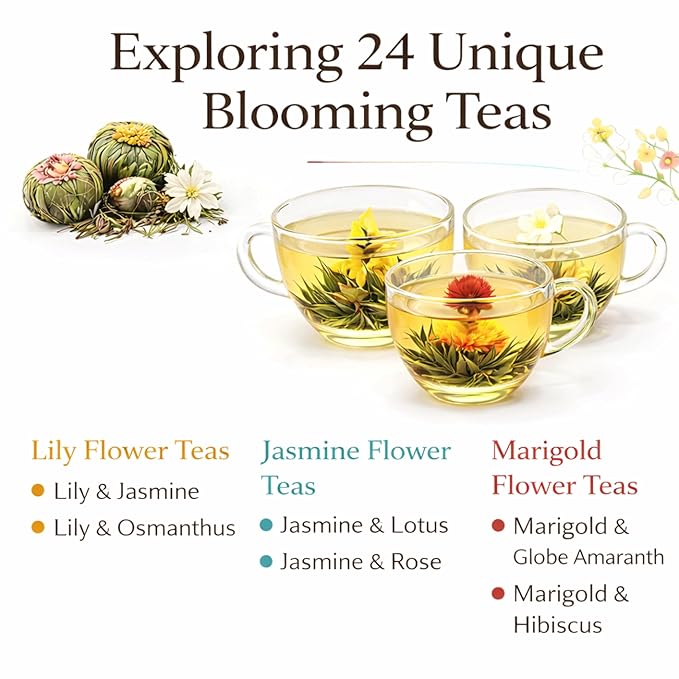 Blooming Tea &amp Edible Flower Infusions Green Tea 24 Unique Flavors Gift Set for Everyone – Natural Floral &amp Aromatic Teas in Extra Large Premium Gift Box