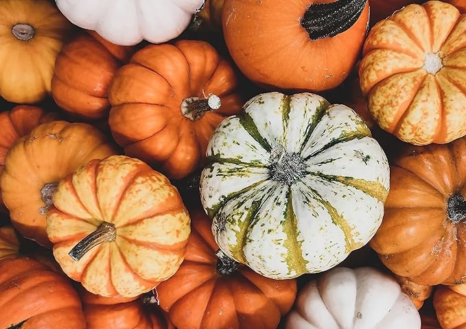 Food to Live Pepitas/Semillas de calabaza (Crudas sin cascara) (12 Pounds)