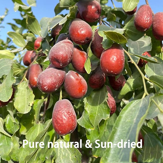 DGYLHBJ Jujube Dates 2.2LB/1000g Chinese Red Date Selected Dried Jujubes for Tea Baking Cooking Chewy Snacks Without Additives 红枣 (Large Dates-2.2LB)