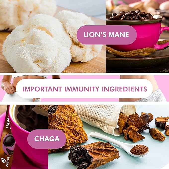 Mushroom + Coffee Javita Immune &amp Defend Blend of Chaga Lion's Mane and Dark Roast Robusta Coffee for Morning Boost Wellness Support Smooth Convenient Coffee Mix (2 box/48 serv)