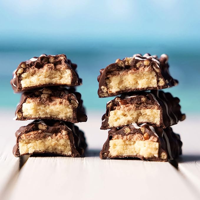 FITCRUNCH Snack Size Protein Bars 6-Layer Baked Bar 5g of Sugar &amp Soft Cake Core (9 Bars Chocolate Coconut Almond)