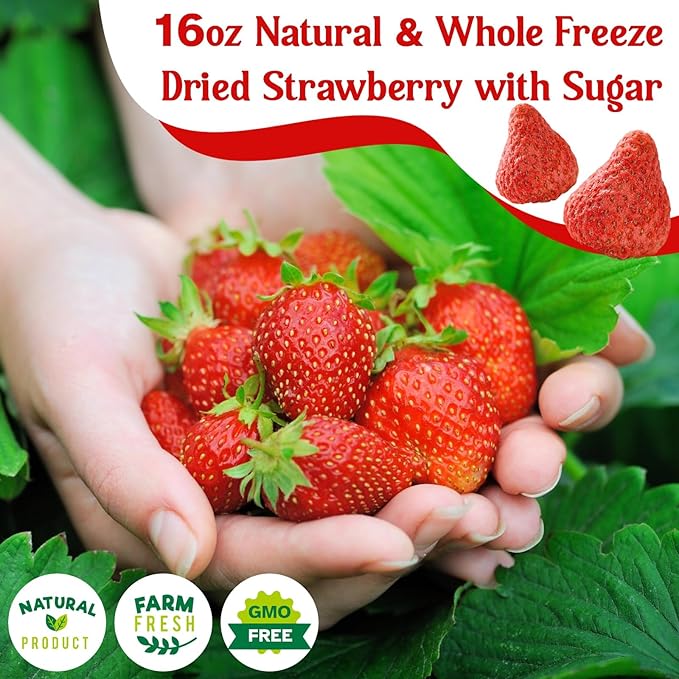 16oz Freeze Dried Whole Strawberries - Lightly Sweetened Crunchy Fruit for Yogurt Baking Oatmeal &amp Dessert Bulk Natural Dried Strawberries with Sugar for Kids Travel Snacking