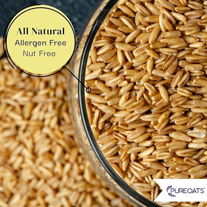 PureOats Gluten Free Oat Groat Oats Whole Grain 15 lb Pantry Size Bag 100% Whole Grain Vegan Allergen Free for Healthy Breakfast and More