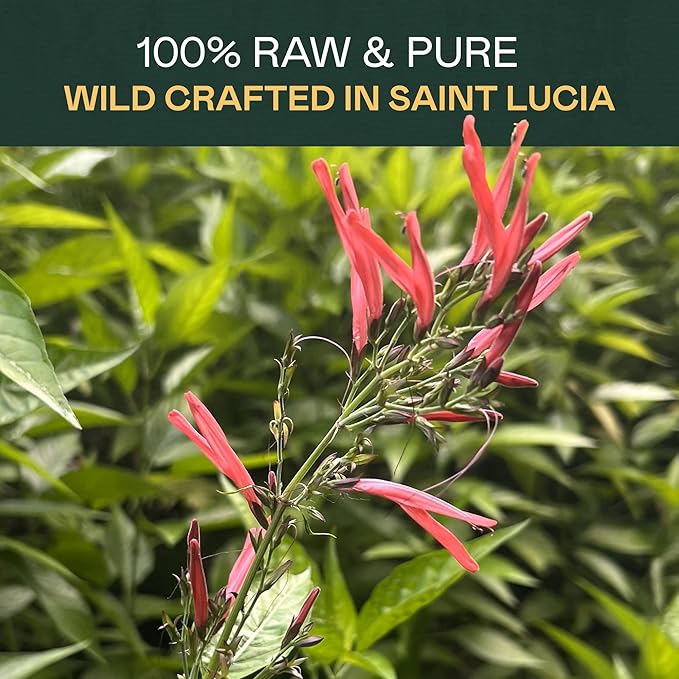 Rich Sol Foods St. John’s Bush Hormone Balance tea for Women Menstrual Cramp Relief PCOS and Fibroid Support Fertility Supplements for Women Loose-Leaf Herbal Tea 44g