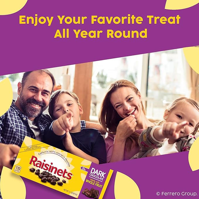 Raisinets Dark Chocolate Covered Raisins Gluten-free California Movie Theater Candy Box 3.1 oz Bulk 15 Pack