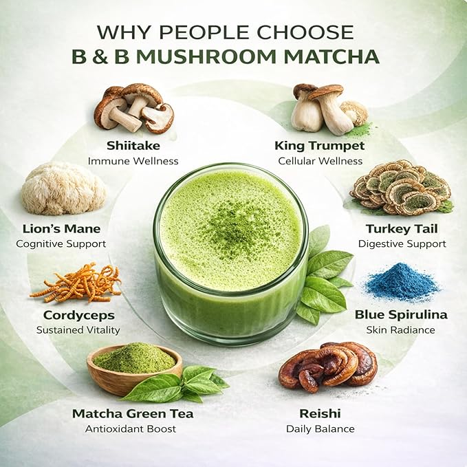 B &amp B Mushroom Matcha Powder with Coconut Milk | Lion’s Mane Cordyceps Chaga &amp 6 Mushroom Fruiting Body Blend – Japanese Ceremonial Grade Matcha – Adaptogenic Energy &amp Focus Drink Mix –